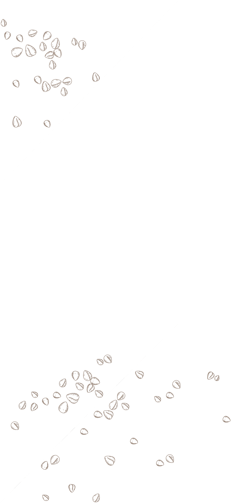 2025-01-05